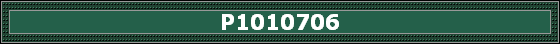 P1010706