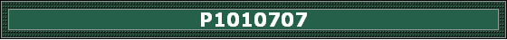 P1010707