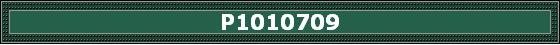 P1010709