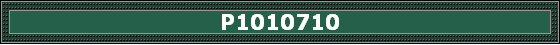 P1010710