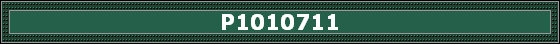 P1010711