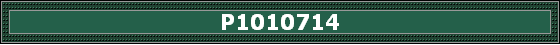 P1010714