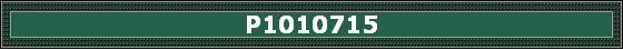 P1010715
