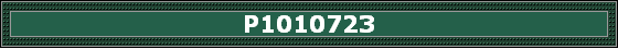 P1010723