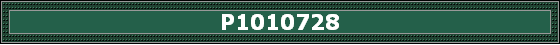 P1010728
