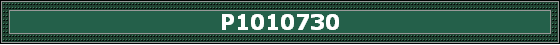 P1010730