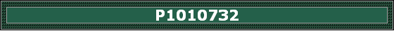 P1010732