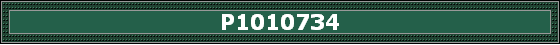 P1010734