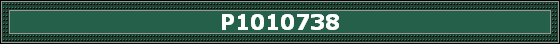 P1010738