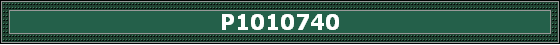 P1010740