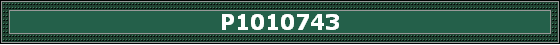 P1010743