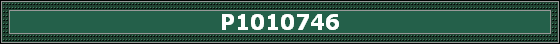 P1010746