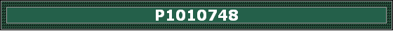 P1010748