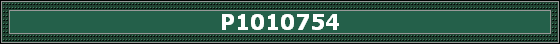P1010754