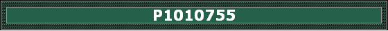 P1010755