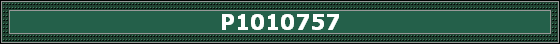 P1010757