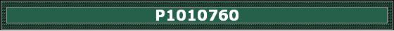 P1010760