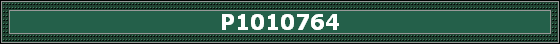P1010764