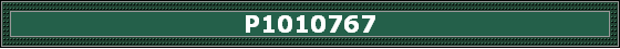P1010767