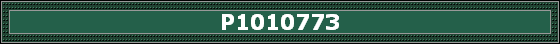 P1010773