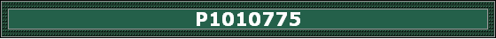 P1010775