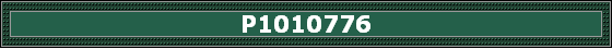 P1010776
