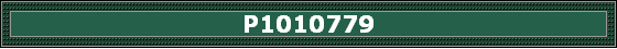 P1010779