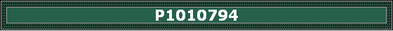 P1010794