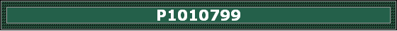 P1010799