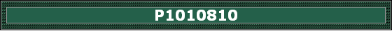 P1010810