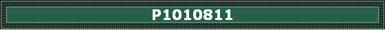 P1010811