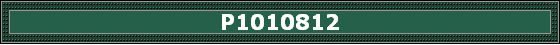P1010812