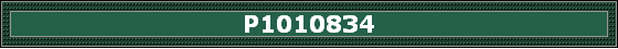 P1010834