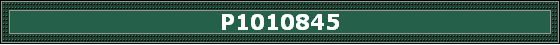 P1010845