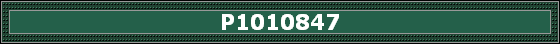 P1010847