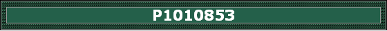 P1010853
