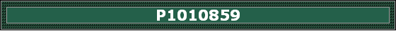 P1010859