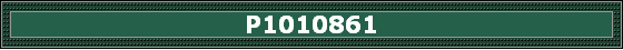 P1010861
