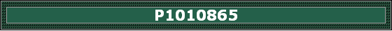 P1010865