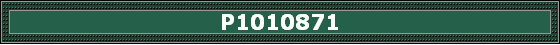 P1010871