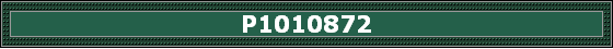 P1010872