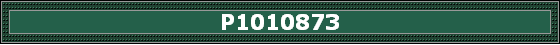 P1010873