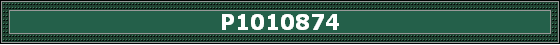 P1010874
