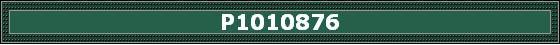 P1010876