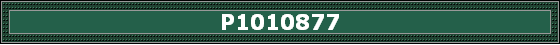 P1010877