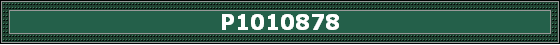 P1010878