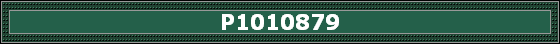 P1010879