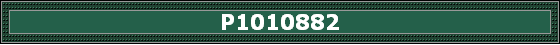 P1010882