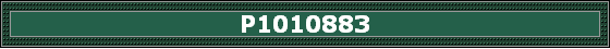 P1010883