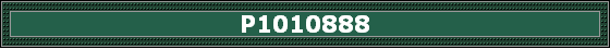 P1010888